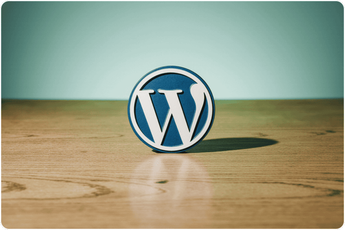 هاست وردپرس چیست